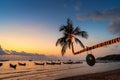 Beautiful coconut trees and sunset on the beach, Koh Tao island in Thailand Royalty Free Stock Photo