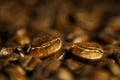 Beautiful coffee beans as a background picture