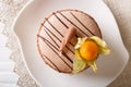 Beautiful coffee macaron decorated with chocolate and physalis c