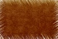 Beautiful coffee texture background