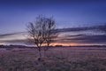 Beautiful colcored sunset on a heat land in; Autumn, The Netherlands