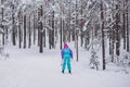 Beautiful cold forest view of ski run track on ski resort, winter day on a slope, pist, nordic skier on the track in winter,