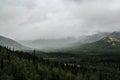 Beautiful cold northern nature: trees and rocks under heavy cloudy sky