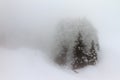 Winter fog landscape Royalty Free Stock Photo