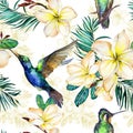 Beautiful colibri, yellow plumeria flowers and palm leaves on white background. Exotic tropical seamless pattern. Royalty Free Stock Photo