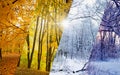 Collage of fall and winter forest in sunny weather. Weather forecast and time flow concept image Royalty Free Stock Photo