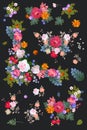 Beautiful collection of various bunches of flowers and floral garlands isolated on black background in vector. Design elements Royalty Free Stock Photo