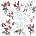 Beautiful collection of vector florals and butterflies