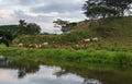 The beautiful Colombian landscape