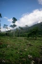 Beautiful Colombian landscapes to enjoy with the family