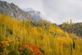 Beautiful color in autumn season in Hunza valley, Gilgit Baltistan, Pakistan Royalty Free Stock Photo