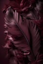 Beautiful color feathers on dark background, feather texture, feather wallpaper