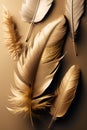 Beautiful color feathers isolated on brown background. 3d rendering