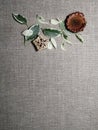 Beautiful colored leaves, dried decorative natural Mahogany pod slice, Cedar rose on vintage canvas background.