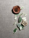Beautiful colored leaves, dried decorative natural Mahogany pod slice, Cedar rose on vintage canvas background.