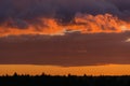 Beautiful colored magenta and orange dramatic clouds on sky at sunset Royalty Free Stock Photo