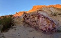 Beautiful colored pink and orange rocks of Yeruham wadi,Middle East,Israel,Negev desert Royalty Free Stock Photo