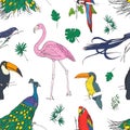 Beautiful colored seamless pattern with tropical birds and exotic leaves hand drawn on white background. Colorful vector Royalty Free Stock Photo