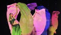 The beautiful colored silk-Turkey belly dance-the Austria's world Dance
