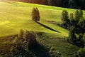 Beautiful colored trees in the Val di Funes forest during fall season. Bolzano, Italy Royalty Free Stock Photo