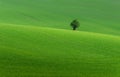 Beautiful and colorful abstract landscape, with rolling hills and green wheat fields in South Moravia, Czech Republic Royalty Free Stock Photo