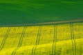 Beautiful and colorful abstract landscape, with rolling hills, green wheat fields and yellow rape fields in South Moravia, Czech Royalty Free Stock Photo