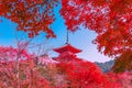 Beautiful colorful Architecture in Kiyomizu-dera Temple Kyoto, Japan Royalty Free Stock Photo