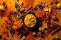 Spices and Herbs - A Collection of Colorful Flowers and Ground Spices