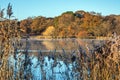 Beautiful colorful Autumn Fall lakeside sunrise misty morning vibrant landscape image