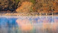 Beautiful colorful Autumn Fall lakeside sunrise misty morning vibrant landscape image