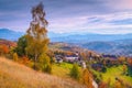 Beautiful colorful autumn landscape, Magura village, Brasov county, Transylvania, Romania