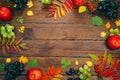 Beautiful colorful autumn leaves, berries, apples and grapes frame on wooden background Royalty Free Stock Photo