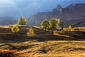 Beautiful colorful autumn panorama with golden light and yellow, orange trees under sunlight in Alakir Valley in Toros Mountains