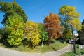 Beautiful colorful autumn trees in city