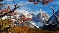 Autumn in mountains in Patagonia, Argentina Royalty Free Stock Photo