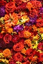 Beautiful colorful autumnal flowers background. Aster, carnation and rose flowers. Top view Royalty Free Stock Photo