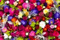 Beautiful colorful autumnal flowers background. Aster, carnation and rose flowers. Top view Royalty Free Stock Photo