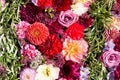 Beautiful colorful autumnal flowers background. Aster, carnation and rose flowers. Top view Royalty Free Stock Photo