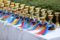 Beautiful colorful awards on the table to the winners of the races Royalty Free Stock Photo
