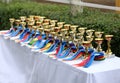 Beautiful colorful awards on the table to the winners of the races Royalty Free Stock Photo