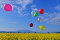 Photo of colorful balloons in the canolla fild, landscape photography