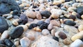 beautiful and colorful beach stones with soft shapes Royalty Free Stock Photo