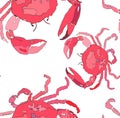 Beautiful colorful bright cute lovely summer sea tasty delicious pattern of red crabs vector illustration