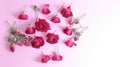 Rose flower arrangement on white  and pink background Royalty Free Stock Photo