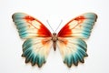 Beautiful colorful bright multicolored tropical butterflies with wings spread in flight isolated on white background, close-up