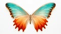 Beautiful colorful bright multicolored tropical butterflies with wings spread in flight isolated on white background, close-up