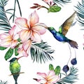 Beautiful colorful colibri and pink plumeria flowers on white background. Exotic tropical seamless pattern. Watecolor painting. Royalty Free Stock Photo