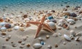 A beautiful and colorful collection of shells, beads, and starfish