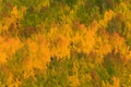 Beautiful and Colorful Colorado Rocky Mountain Autumn Scenery Royalty Free Stock Photo