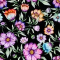 Beautiful colorful cosmos flowers with leaves on black background. Seamless floral pattern. Watercolor painting.